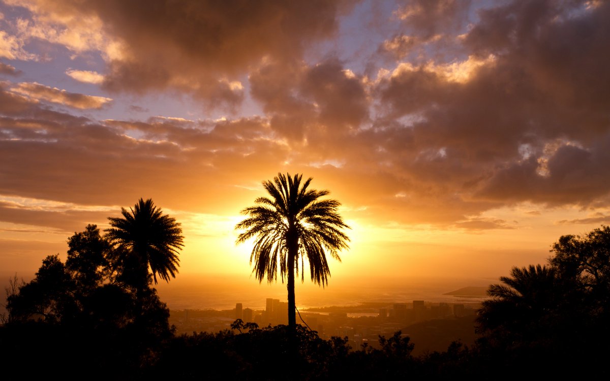 ScenesNature tweet picture