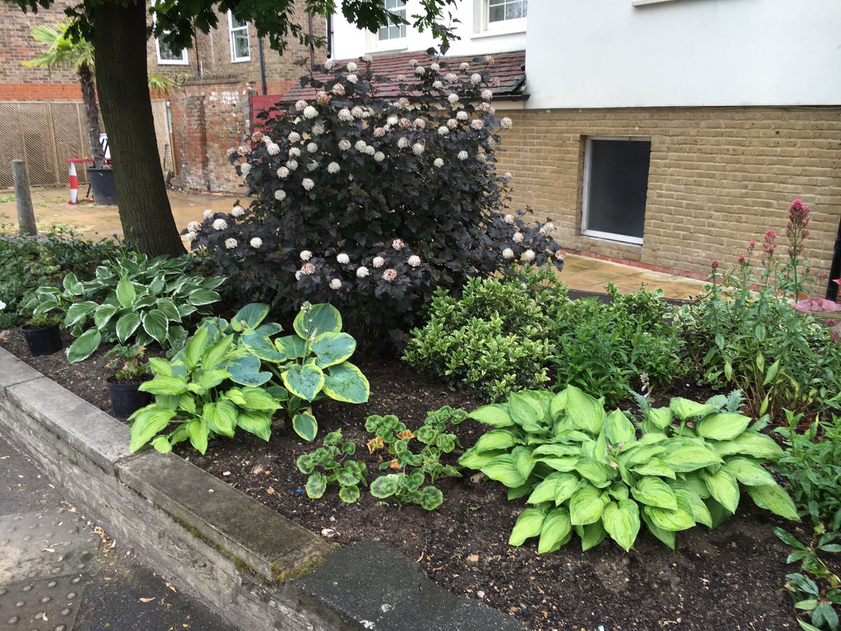 janwingware's tweet photo. Ware is Blooming this week -judges visit Thursday https://t.co/SnrBfq8Wg8