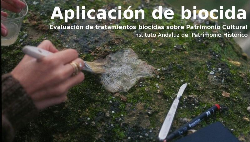 IAPHpatrimonio's tweet image. Evaluación de tratamientos biocidas sobre #Patrimonio Cultural #biología buff.ly/29K2EqF