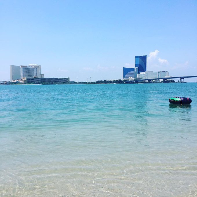 View image on Twitter