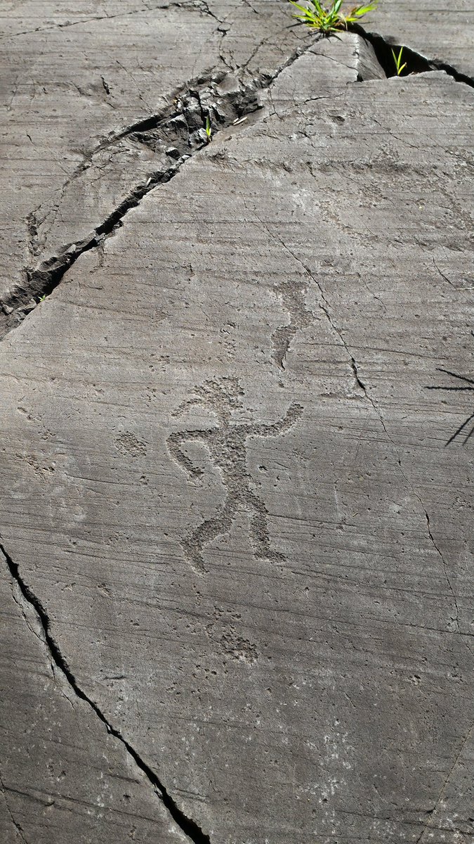 Paolo Zuliani tweet media