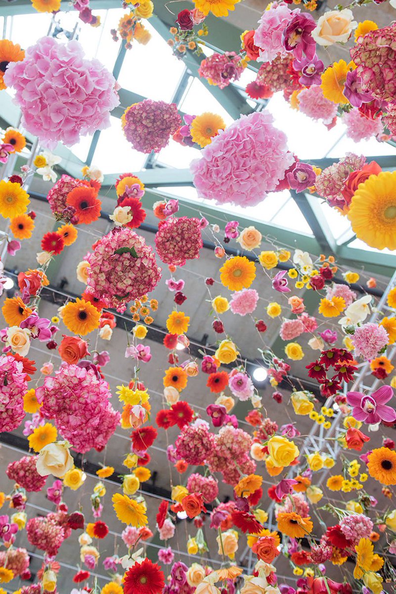 fubiz's tweet photo. Suspended Floral Spring Garden in Berlin https://t.co/GUTWfxY95e https://t.co/Mr7owcHIy0