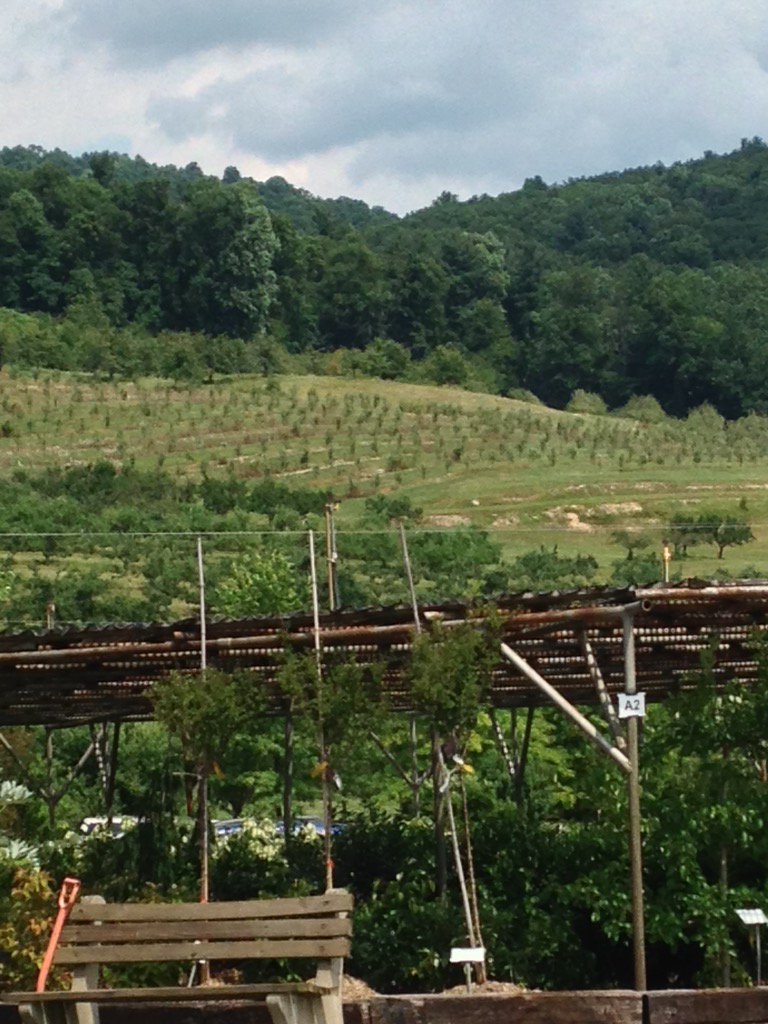 DCNRnews's tweet photo. Stop 3 for Sec Dunn @BoyerNurseries, family farmers that have protected wooded areas nearby @PAAgriculture https://t.co/U6cHbC90LS
