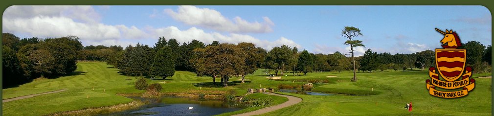 Cornwall Biz Forum tweet media