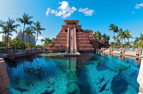 ButDansLaVie's tweet photo. Je veux aller en vacances aux Bahamas 😍🌊🌴☀️ https://t.co/6wXJDWp3A4