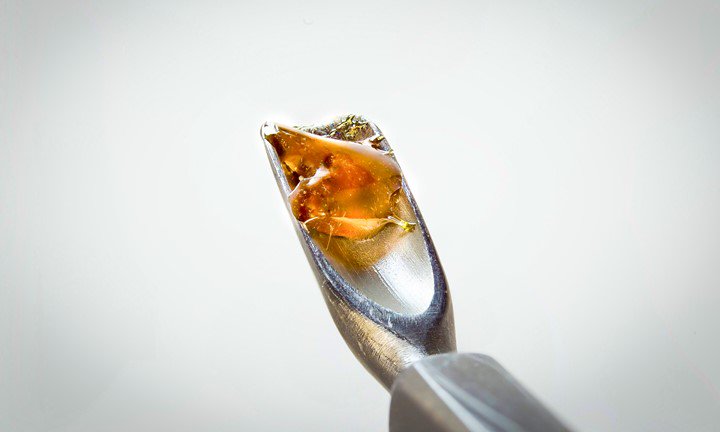 POTHEADDIARIES's tweet photo. Cannabis Extracts is a growing market not slowing. https://t.co/2MaNrF56UY  #PotHeadDiaries #HighSociety #HighLife https://t.co/RJRu8AkJoy