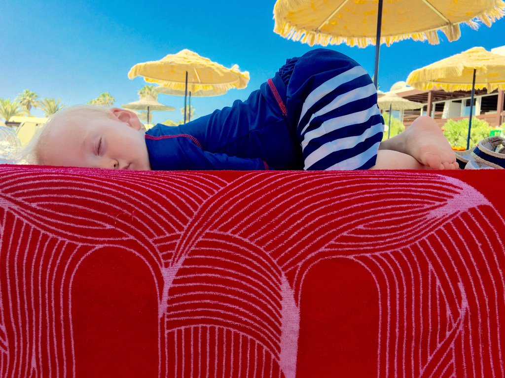 Pete Shannon tweet media