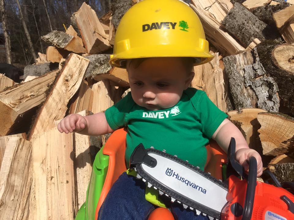 DaveyTree's tweet photo. Davey employee Cody Wilbur's son Brooks surely takes after his dad, getting to work cutting wood. #FutureArborist https://t.co/c7NC7TMtpk