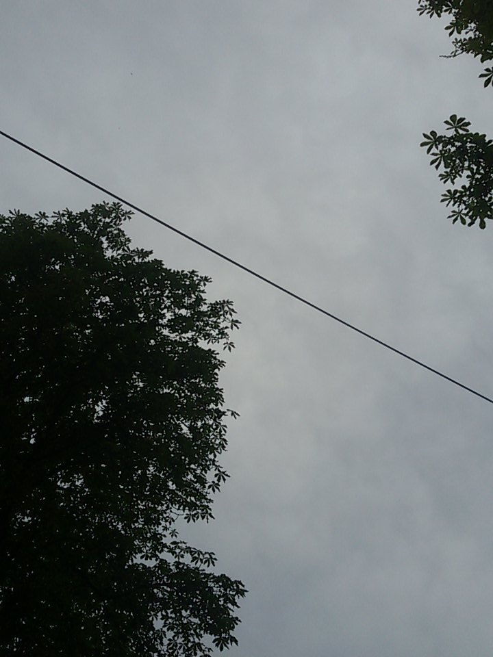 Marcus221001's tweet image. #Stromleitung