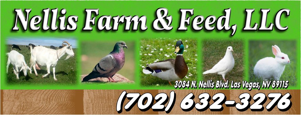 STALL SIFTER tweet media