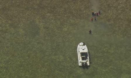 UPDATE: 24 #Cuban migrants walk through shallow water on #ElliottKey to board FWC boat. bit.ly/29GpXRU https://t.co/l1iAi0zGpE