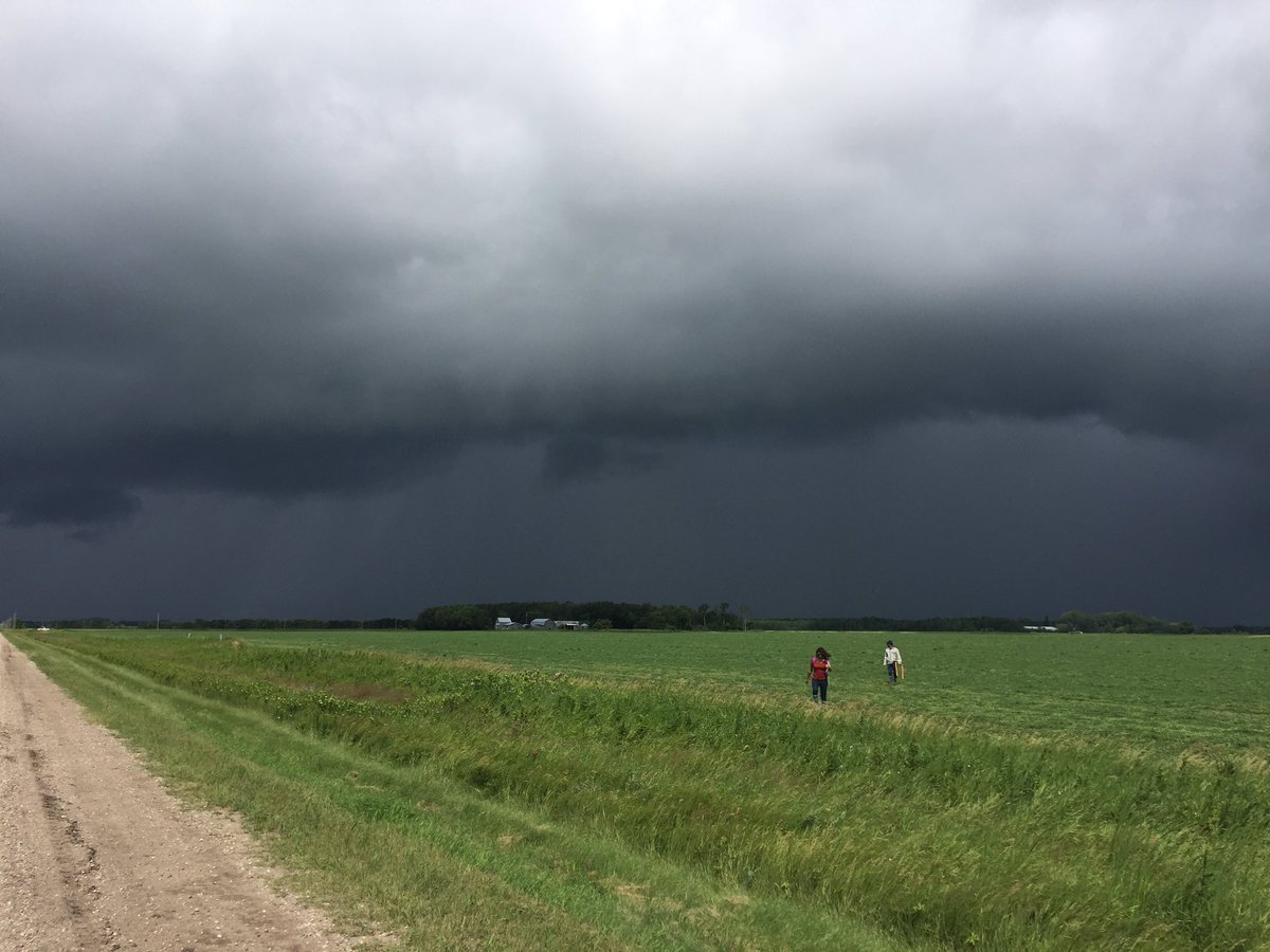 SMAPVEX16_MB's tweet photo. Teams are racing against the storm clouds on our second day of biomass sampling #smapvex16 #prairiestorms 🛰🌾⛈ https://t.co/XMgpwGO7Xm