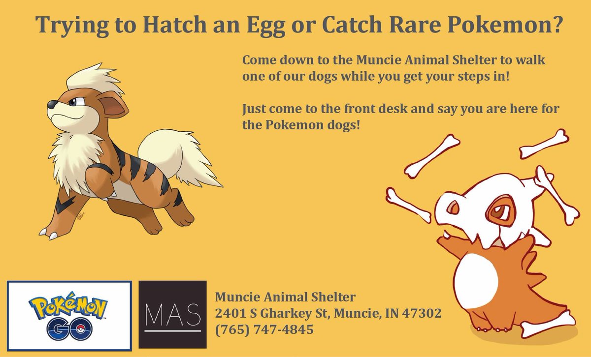 MuncieACS's tweet photo. #PokemonGO #Dogs #CatchEmAll #AdoptEmAll https://t.co/b5H66tnGSO