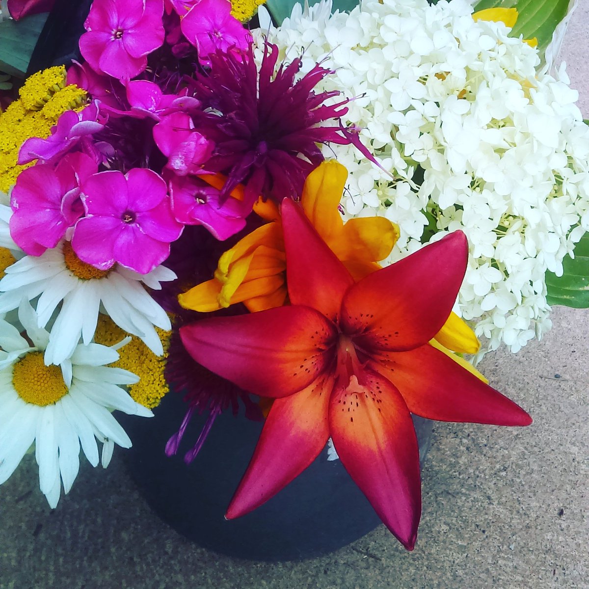 Bluehippievan's tweet photo. Get a load of these colors! Available in #SalmonArm  on 30St SE. Just $10 each. #shoplocal #freshflowers #Shuswap https://t.co/ewHgQyyrJM