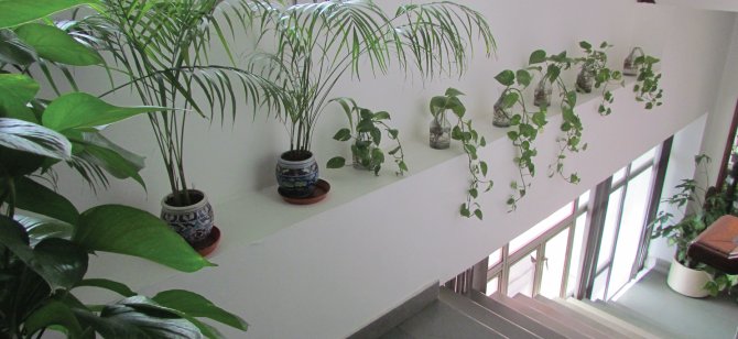 USGBC's tweet image. How #LEED Platinum @PaharpurPBC uses the Dynamic Plaque to monitor #bldg performance! bit.ly/29KSuGe