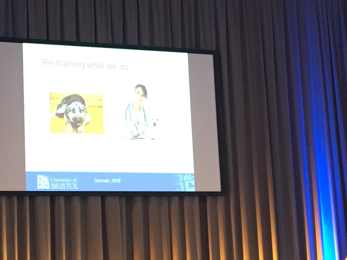 MarcBracke's tweet photo. RT @ISAE2016: Nicol: We don’t have to give animals everything they want but it’s useful to know what they want https://t.co/QVqkRIcAnS