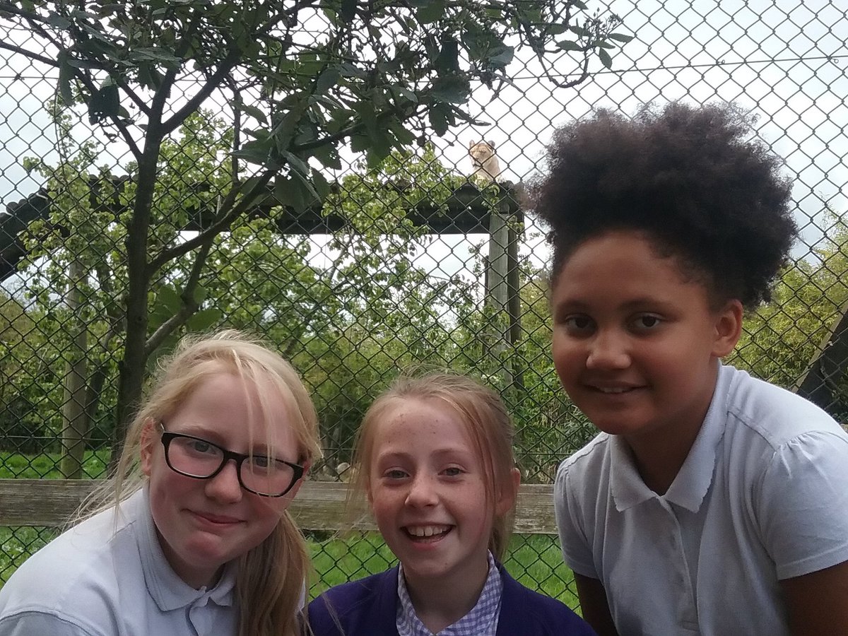 rebeccadambros's tweet photo. Fantastic day at Howlett Zoo with year 5 #zoo #endofyeartrip https://t.co/P0KjzD4mgz