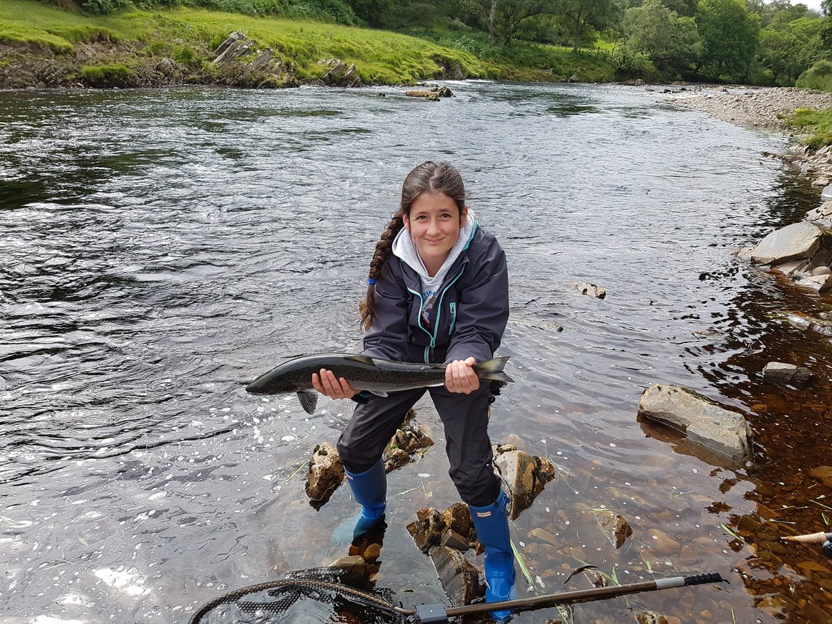 FinlayMcCulloch's tweet image. @JexMcCulloch catching her first salmon @braelangwell 7lb and sea liced #firstsalmon #salmonfishing #Chuffed