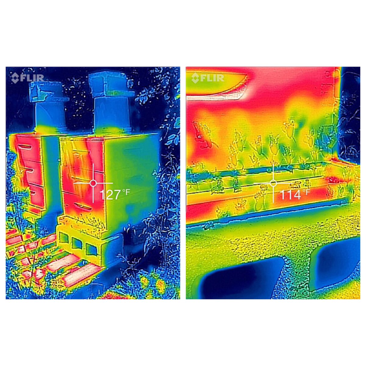 strongmicrobials tweet media