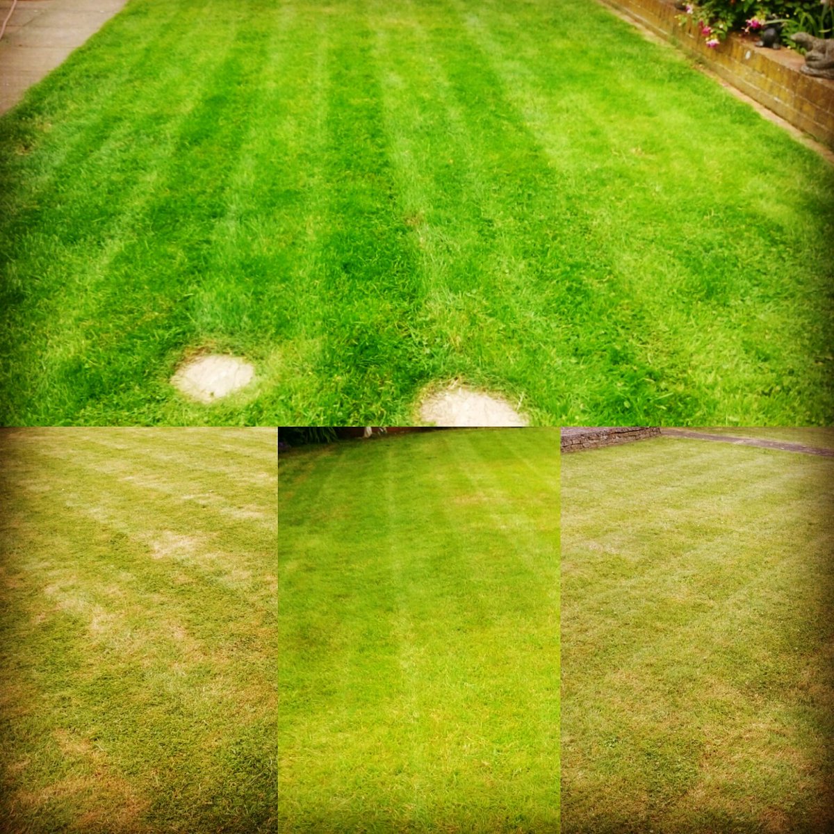 TiDeeHome's tweet image. Lawns cut