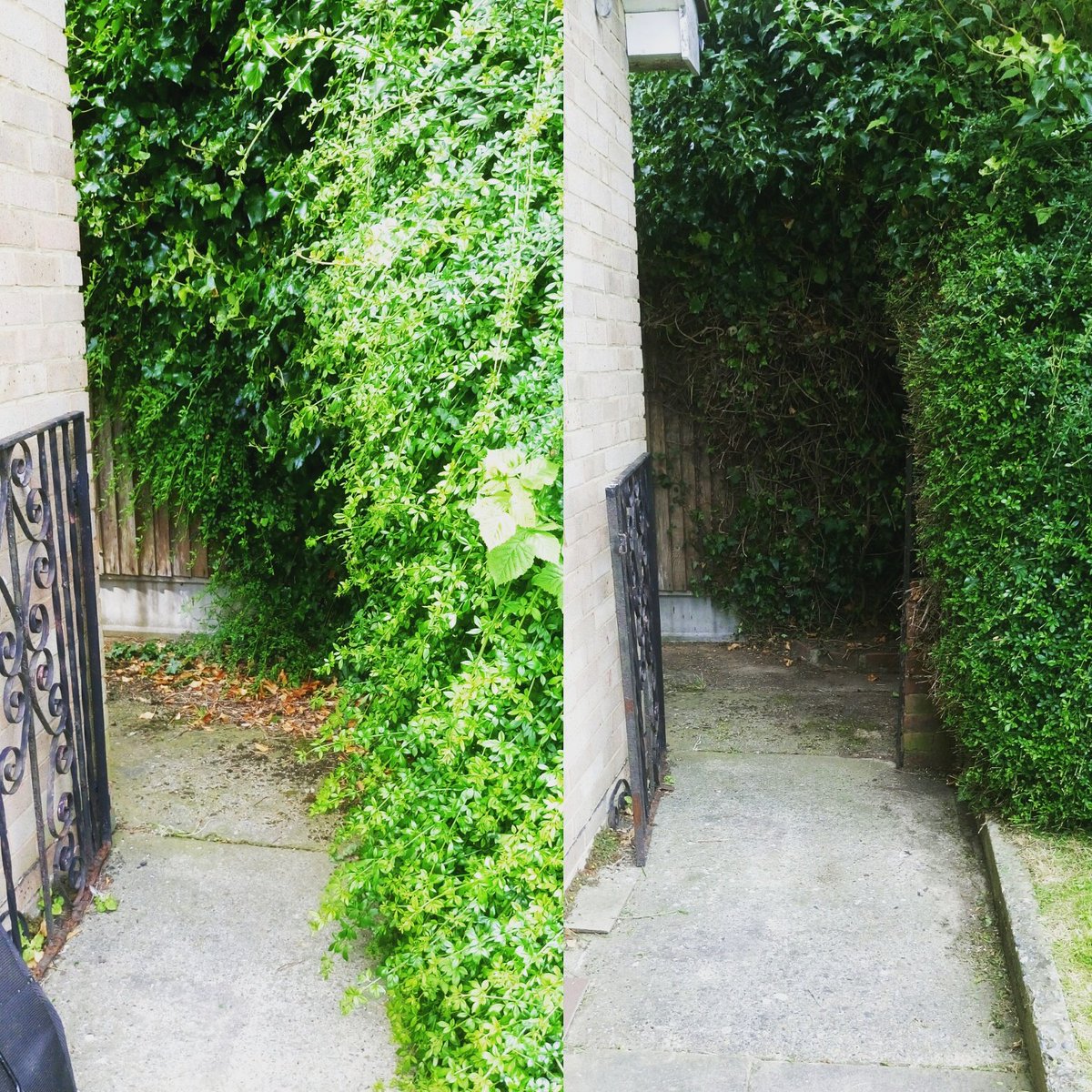 TiDeeHome's tweet image. Lawns cut