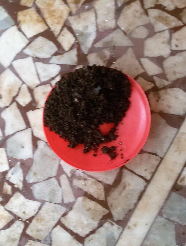nathanirr's tweet photo. #compost2016 Our society's first batch of compost! Proud moment! No cribbing why govt doesn't do, we did it!#Chembur https://t.co/MYCygKAjOH