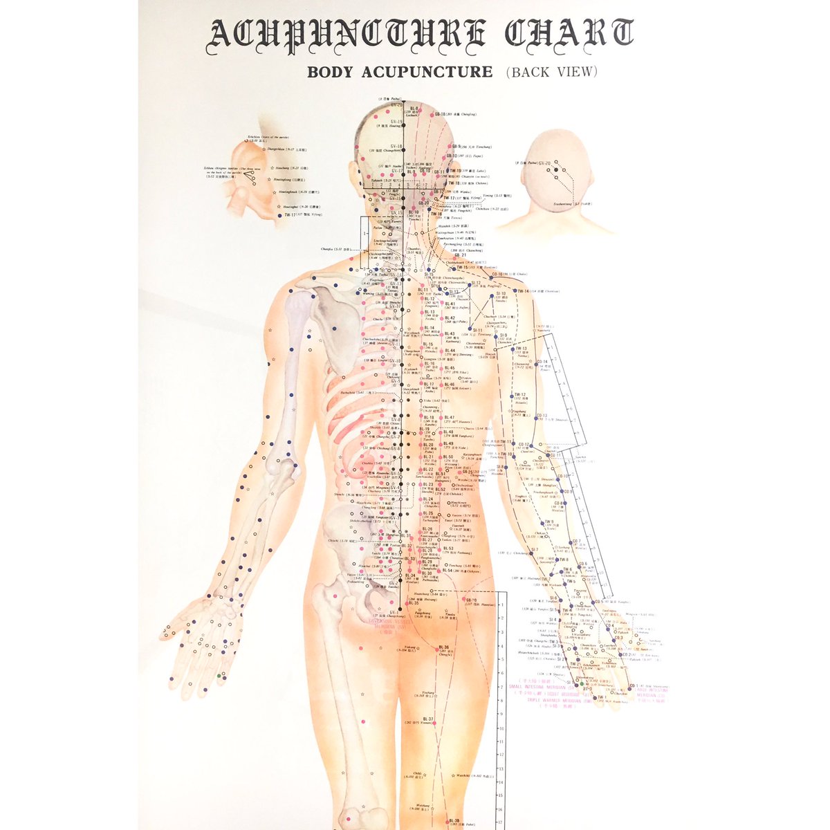 selvahwellness's tweet photo. Always a good day when there's a little acupuncture👌🏽 https://t.co/xvfDQXqrBE