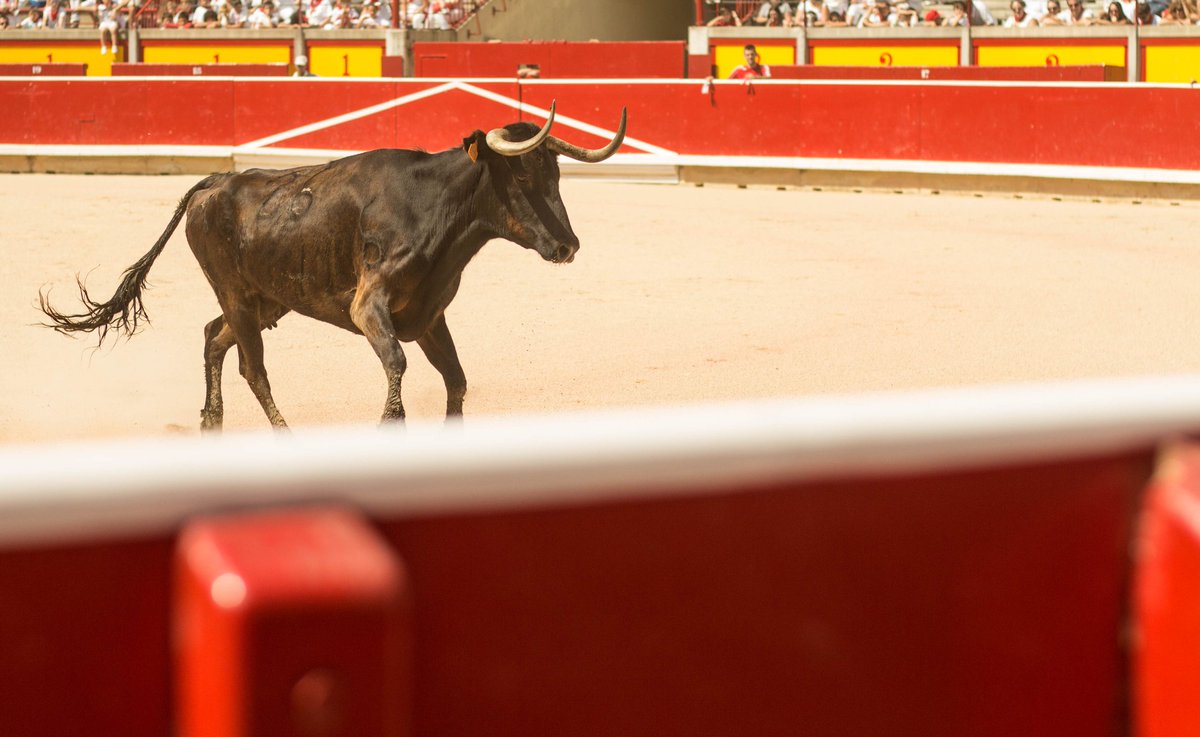 E y lo que me Milán estas fotos