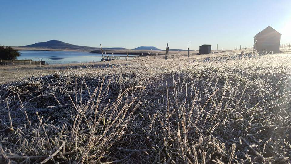FalklandsJames's tweet photo. A frosty Falklands morning from earlier today. https://t.co/OuS5DB62HP