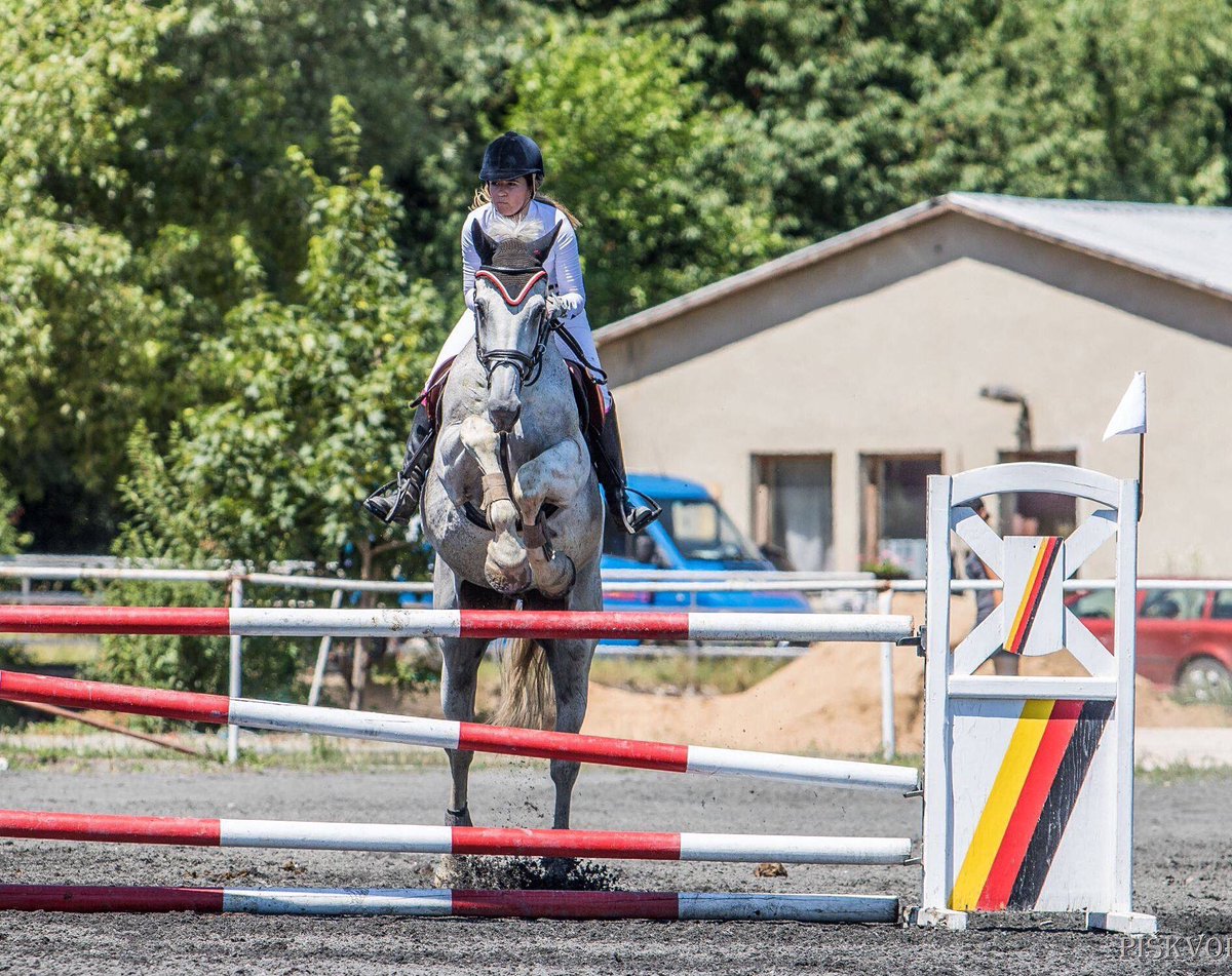 hajkova_katka's tweet photo. Muj šampion🦄❤️ https://t.co/7F7gXl6sWQ