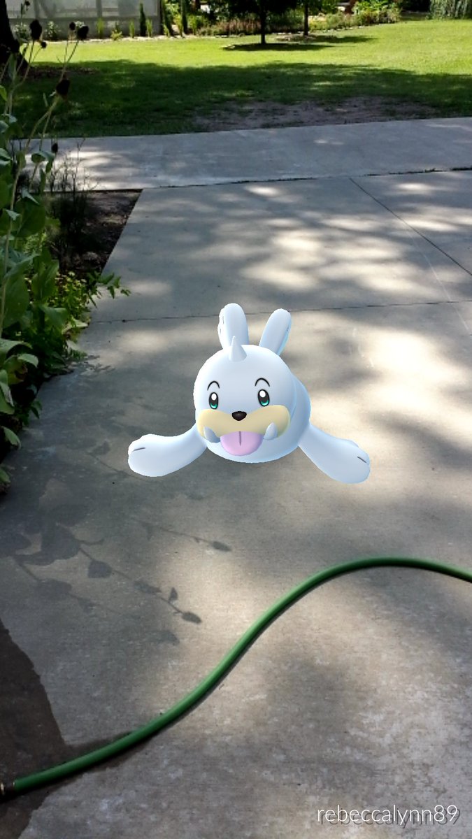 RebeccaLynn_89's tweet image. its also full of seels :)