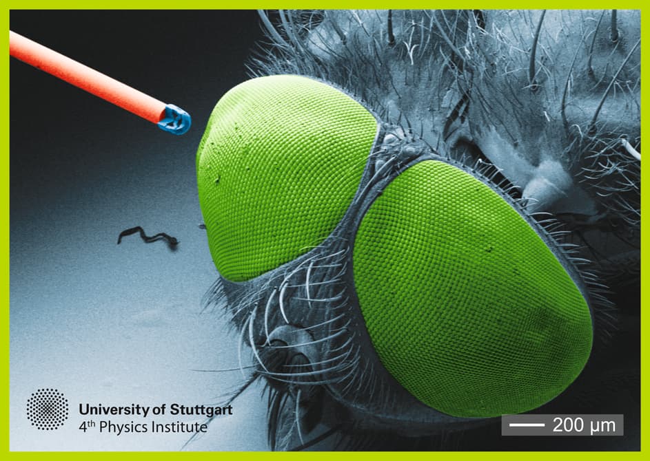 Tiny #3DPrinted Cameras with Enormous Potential via <a href="/3dprintindustry/">3D Printing Industry</a> hubs.ly/H03tTSD0