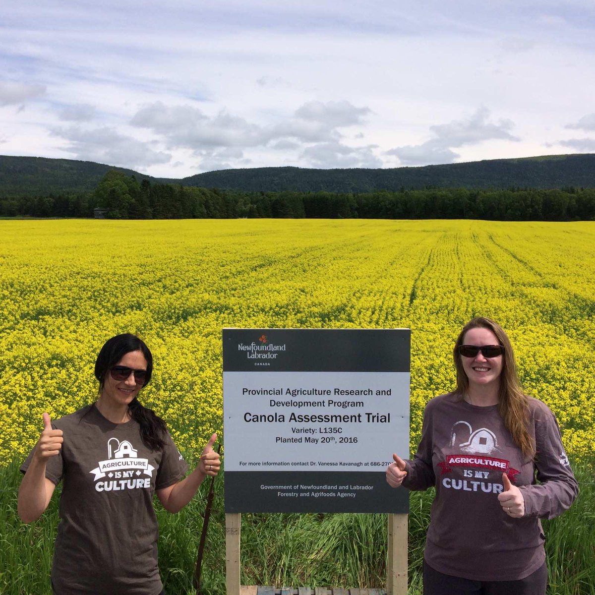 Thumbs up for our Canola Assessment Trial in <a href="/PasadenaNL/">Town of Pasadena</a> For more information contact <a href="/NLGrainDr/">Vanessa Kavanagh</a> <a href="/FAA_GovNL/">Forestry & Agrifoods</a>