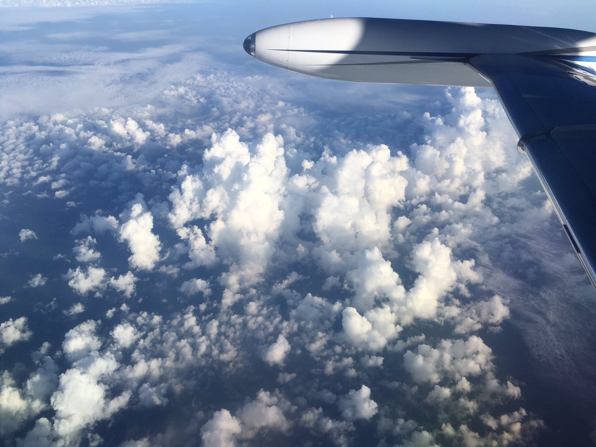 Flying hi with <a href="/taoconcrete/">TaoConcrete</a>