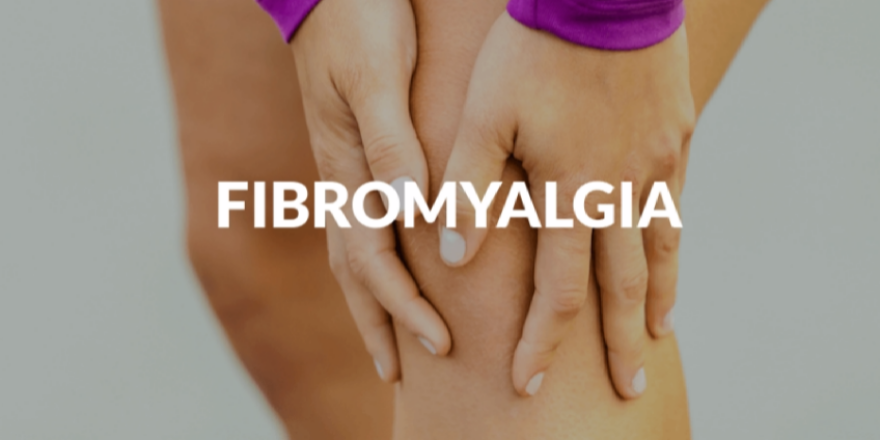 ThinkTankExile's tweet photo. Fibromyalgia and Cannabis - What Does the Research Say? https://t.co/k2T0gC8spa https://t.co/mUzI9NUE08
