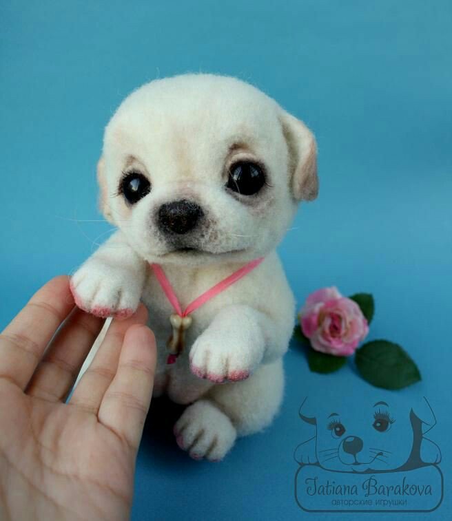 <a href="/ranasilvia63/">Luna OM</a> <a href="/MrNaassir/">🇵🇰Nasir💕Uddin🇺🇸</a> <a href="/62Roses/">Roses</a> @Sitaravirgo <a href="/AAB_e_HAYAT/">آب حیات</a> <a href="/ADORA_PYAR/">گمنام جیالا</a> <a href="/ahmedijaz560/">Ijaz Ijaz Ahmed</a> <a href="/ignaarist/">aristides</a> <a href="/farahmc1/">farahmcfadden</a> @zuk60