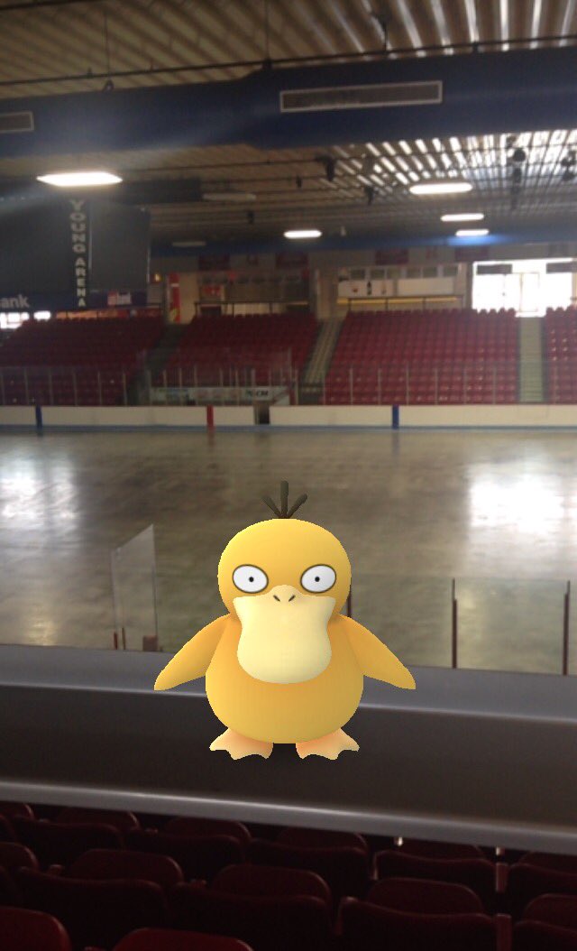 BlckHawksHockey's tweet photo. Catch a Pokemon in Young Arena? Share a pic with the Waterloo Black Hawks on Social Media for a prize! #HawksCatchEm https://t.co/eU9ZXbLIqp