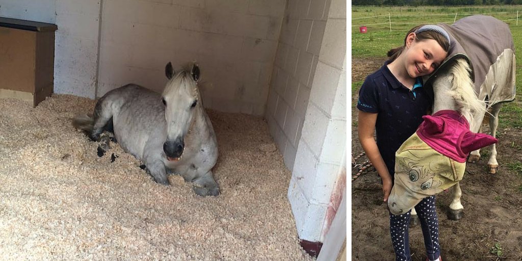 Have you had to deal with the news of a suspensory? 9yo Robyn tells us she's still smiling! bit.ly/29HQxvN