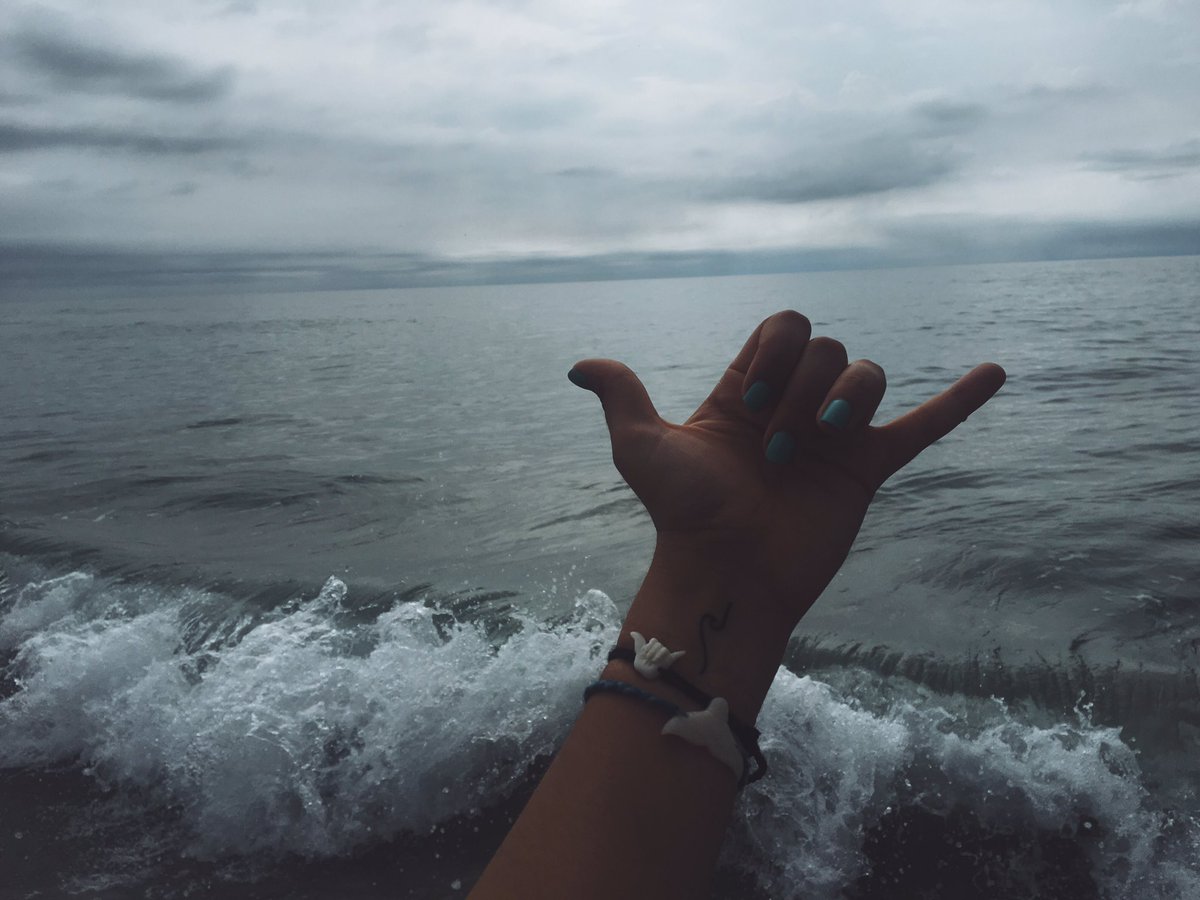 lexivas's tweet photo. took my #sweetstack @wandererbrac out to the beach today 🌊✌🏼️🌎 #whereiwander

"LEXI10" discount code!! 😘💙 https://t.co/WLe7GDzlr7