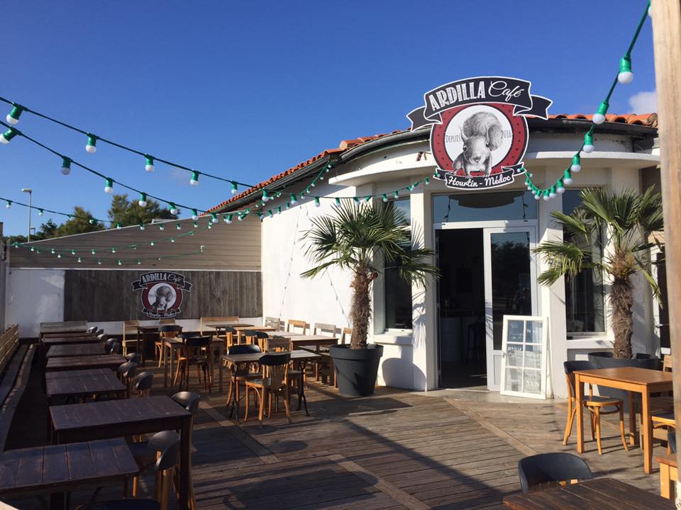 Ardilla Café At Ardillacafe33 Twitter