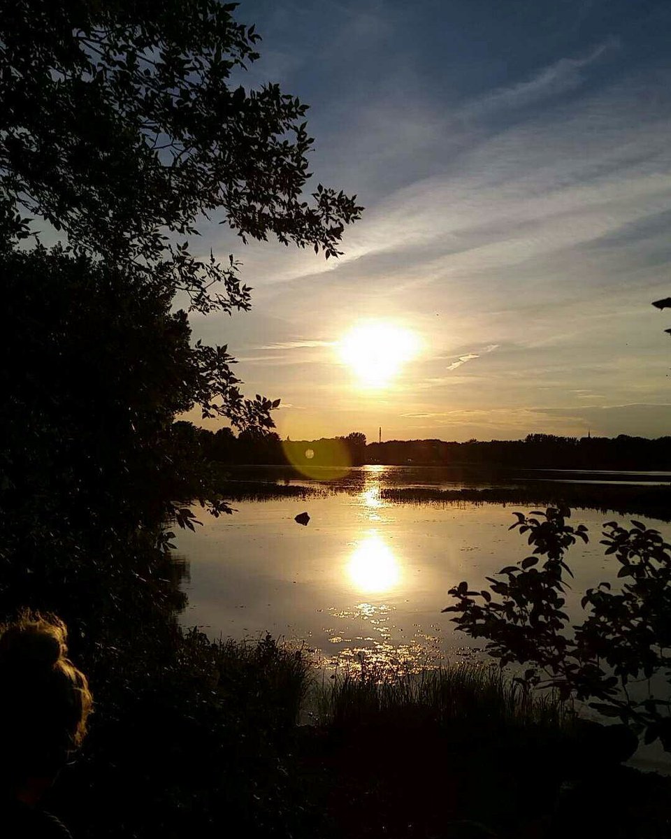 fullmooonwolves's tweet image. Everyone's gotta love a sunset am i right ?! 👀