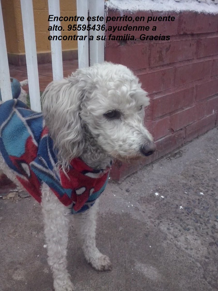encontrado en #puentealto RT para que encuentre a su familia