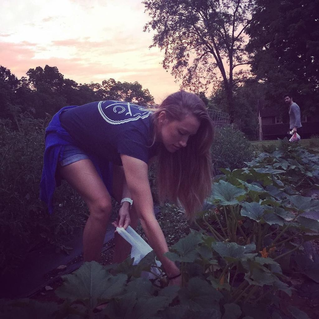 AngryBearKit's tweet image. Got some free labor over the weekend harvesting squash for ABK  @over_the_hill_farm #edibl… ift.tt/29V3t0T