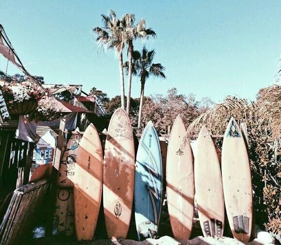ReallyRelatabIe's tweet photo. Summer vibes 😎 https://t.co/oQP6y456JJ