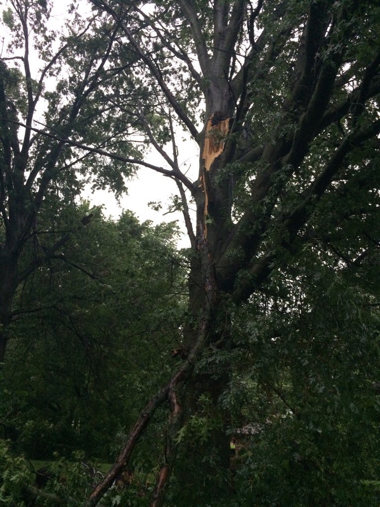 ezbeesolutions's tweet image. @NevilleKMBC @kmbc  storm damage from the east side of St .Joe #whatamess #Weatherbugbeth