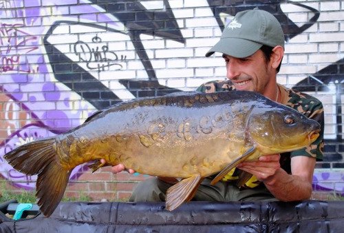 CARPdiem_Mag's tweet photo. Pesca en Verano
Zigs Pronto
https://t.co/GFsEPFsUuR https://t.co/lzDXx7Blta https://t.co/LkmCLMp4am