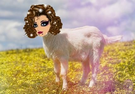 ish just made an edit on msp as..:me as a goat xDDD
