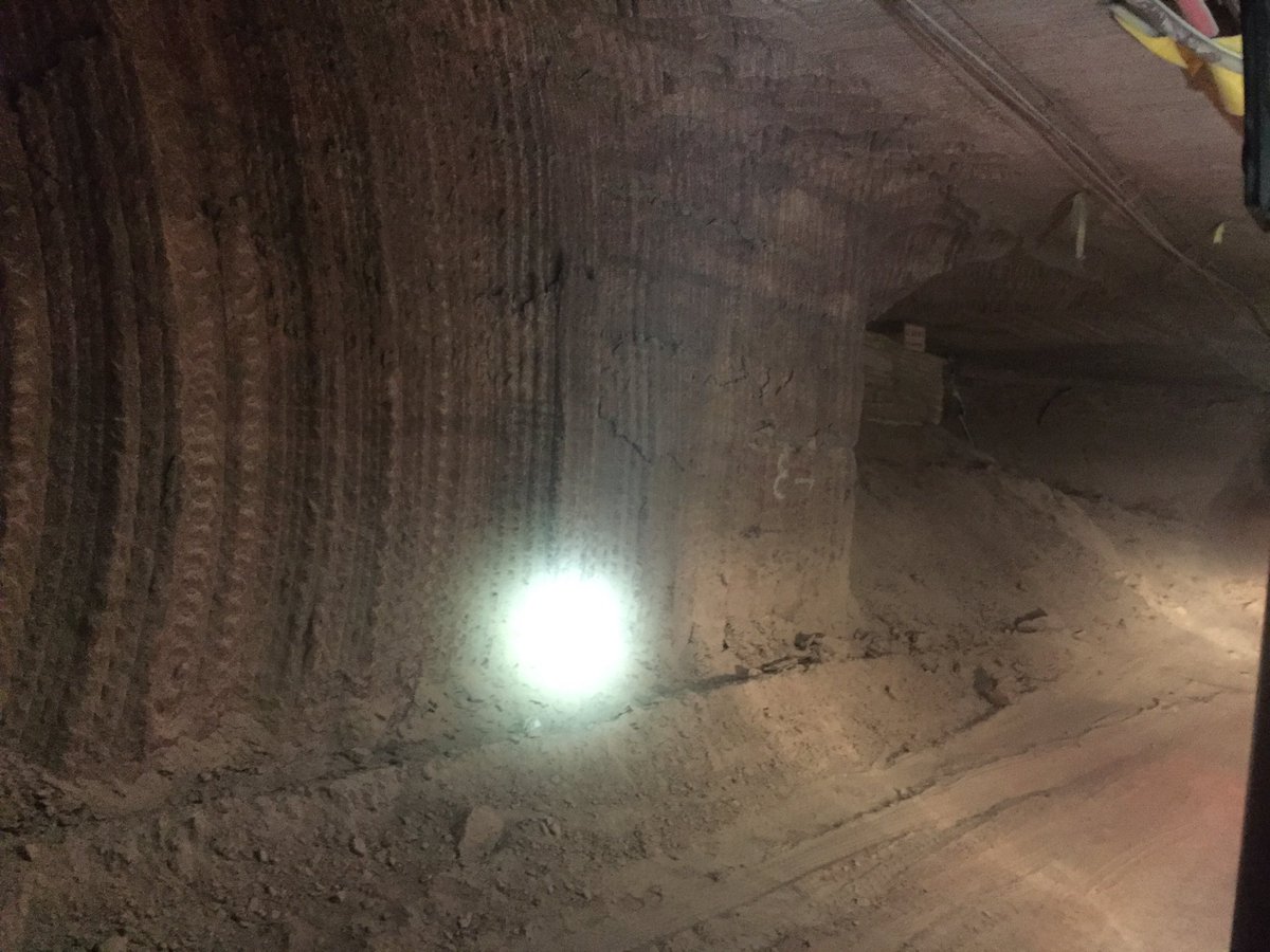 Matt Stock tweet media