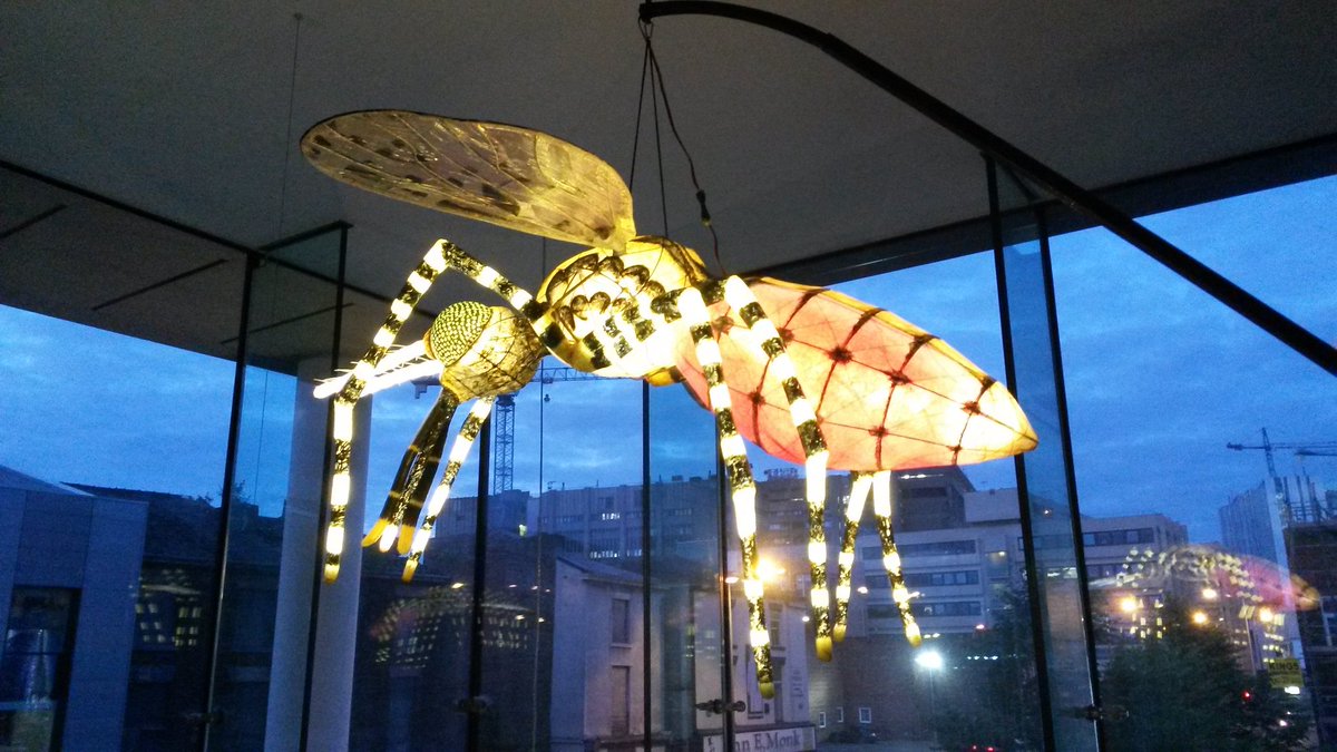 AdrianaAdolfi's tweet photo. Spotted casually buzzing in @LSTMnews corridors! #anopheles #mosquito never looked better..or shinier! @MosDiaries https://t.co/Pg2YREiemJ