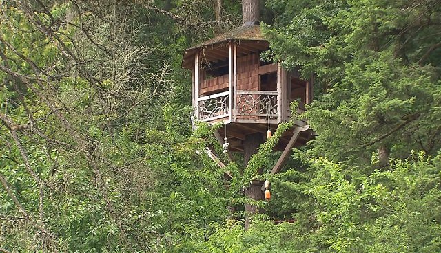 LandApart's tweet photo. Here's that #portland #treehouse shot from @KOINNews story. Explore for yourself at https://t.co/Yst4038ztg https://t.co/o2bxXDbH37